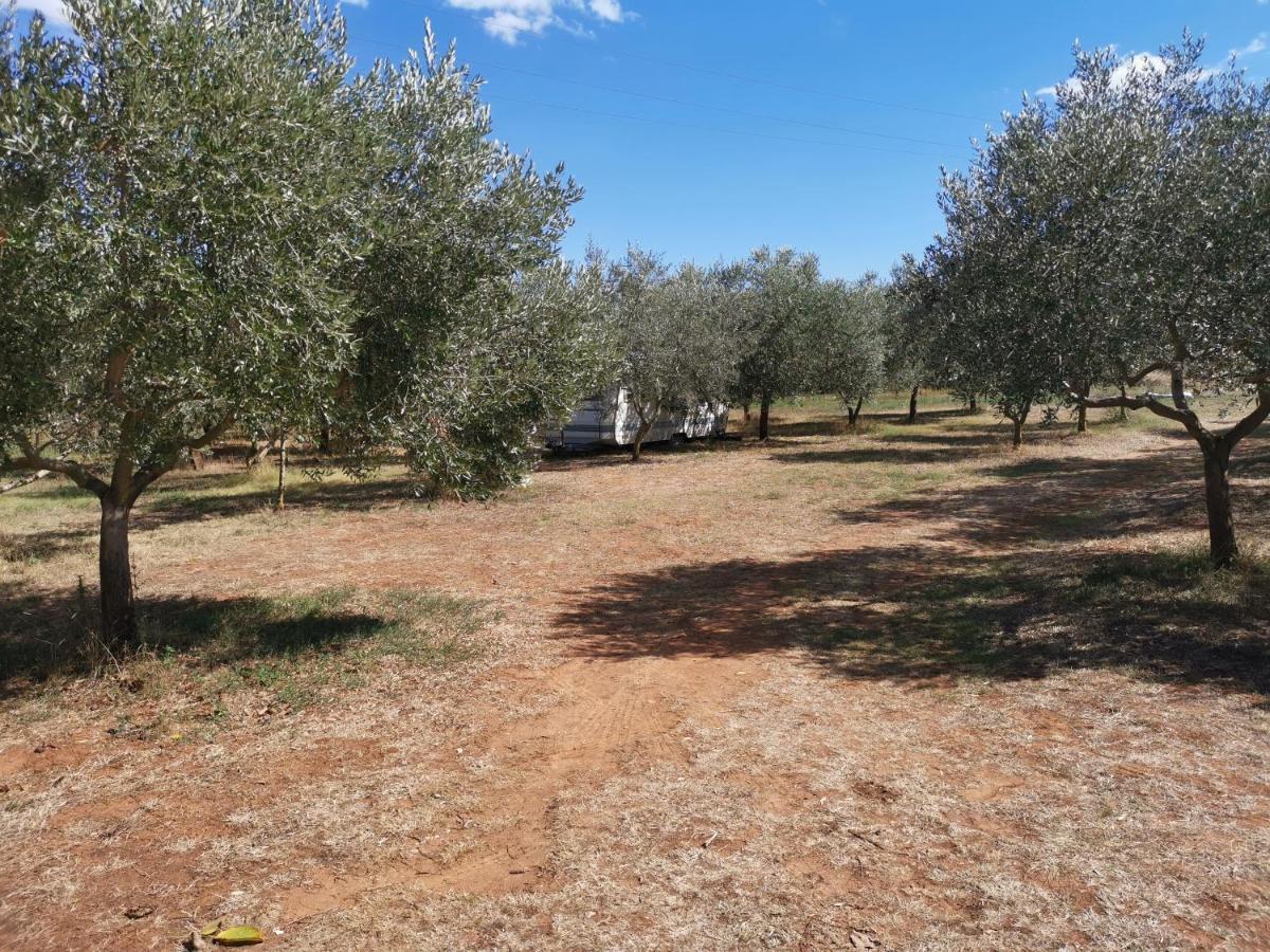 Camper For Two Ξενοδοχείο Banjole Εξωτερικό φωτογραφία