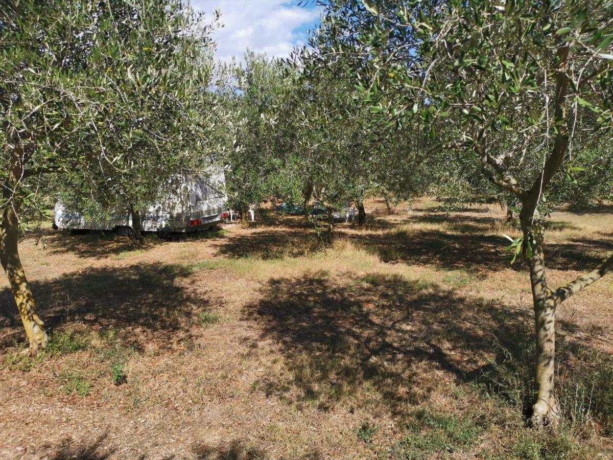 Camper For Two Ξενοδοχείο Banjole Εξωτερικό φωτογραφία